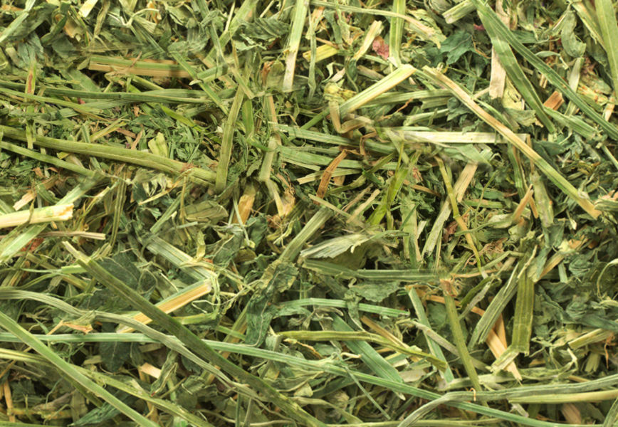 Dehydrated alfalfa