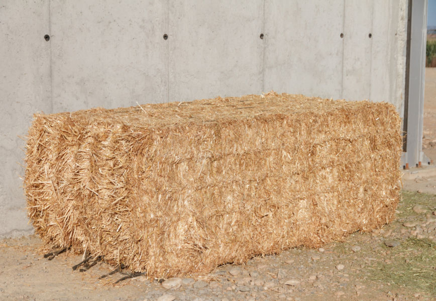 Barley straw bales