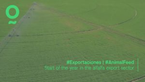 Comienza el año para el sector de exportación de alfalfa deshidratada y otros forrajes desde España