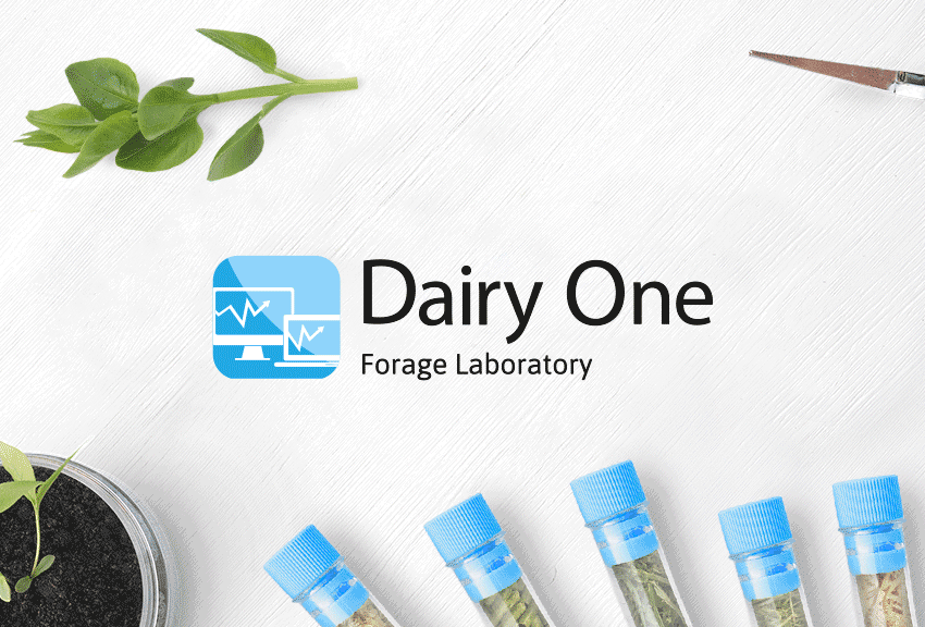 Nafosa Labs & Dairy One laboratory services