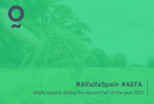 Alfalfa ecological bales sales in europe, asia, korea, china, middle east, forage in spain aefa