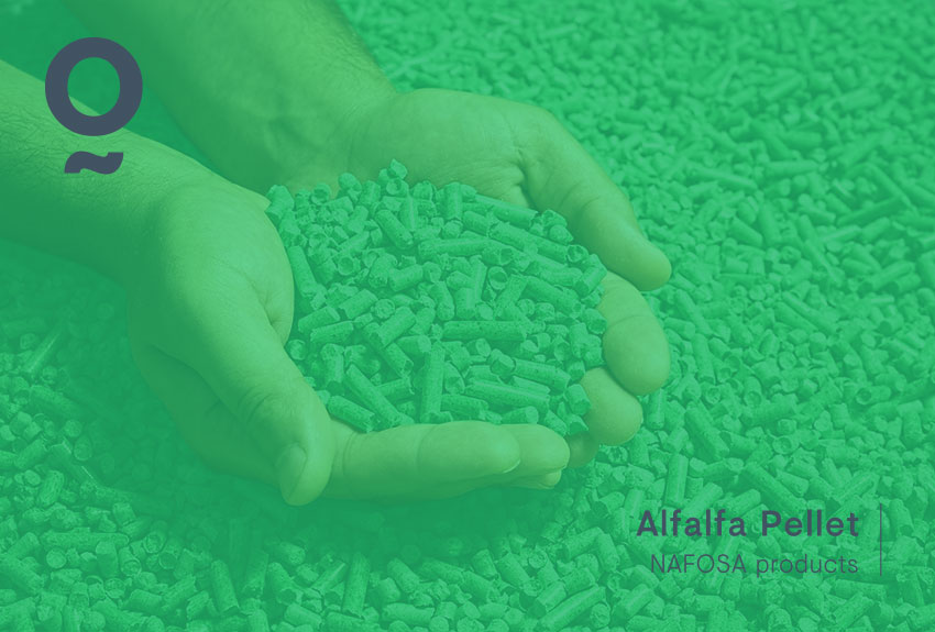 NAFOSA products: Alfalfa Pellet