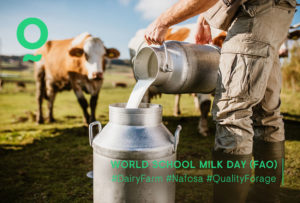 world-school-milk-day-nafosa-animal-nutrition-milkIndustry-alfalfa-bales-dairy-farm-uae-europe-spain-china-asia-