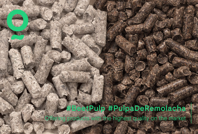 pulpa-de-remolacha-beet-pulp-worldwide-shipping-buy-alfalfa-pellets-nafosa-forages-and-fodder-industry-in-europe-asia-uae-korea-japan