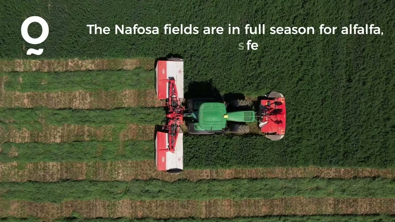 Campaña de alfalfa en Nafosa