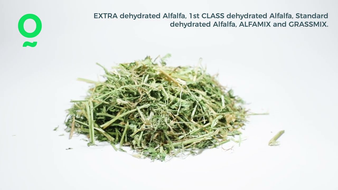 Los productos de Nafosa: Alfalfa deshidratada ecológica