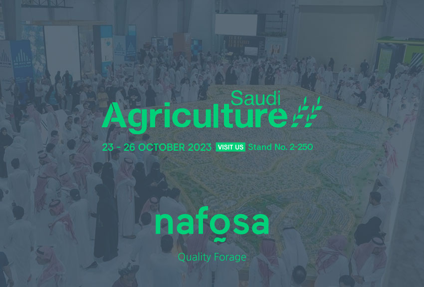 Nafosa will be present at Saudi Agriculture in Riyadh best alfalfa bales and quality forage for animal nutrition dairy cattle in Asia UAE Japan Europe Dubai Korea
